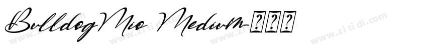 BulldogMio Medium字体转换